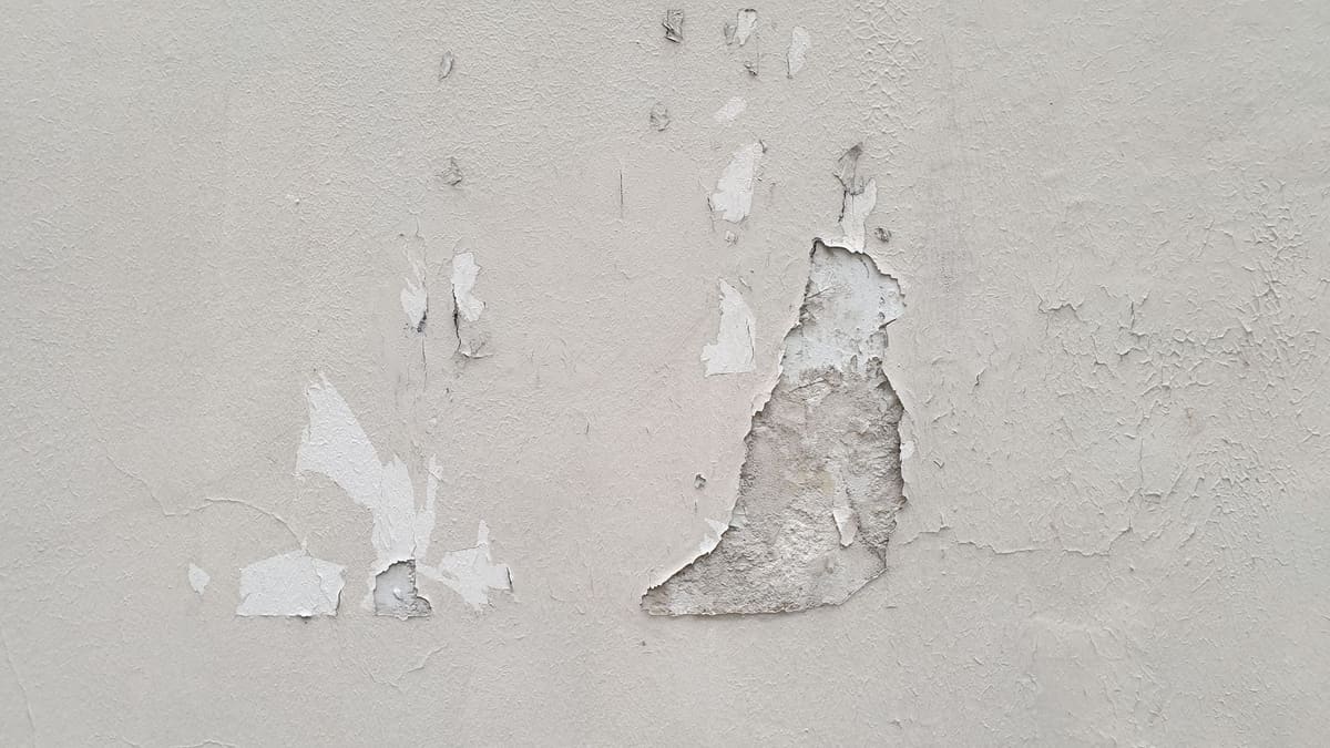 Comparaison de testeurs de couleur peints sur un mur pour choisir la teinte